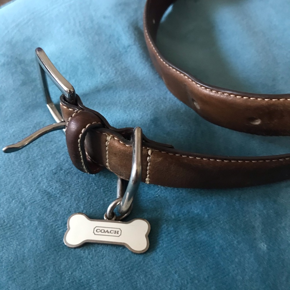Coach leather doggie collar L